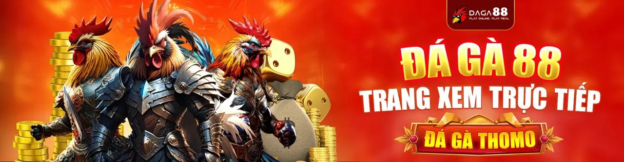Đá gà trực tuyến ZH88 với các trận đấu kịch tính